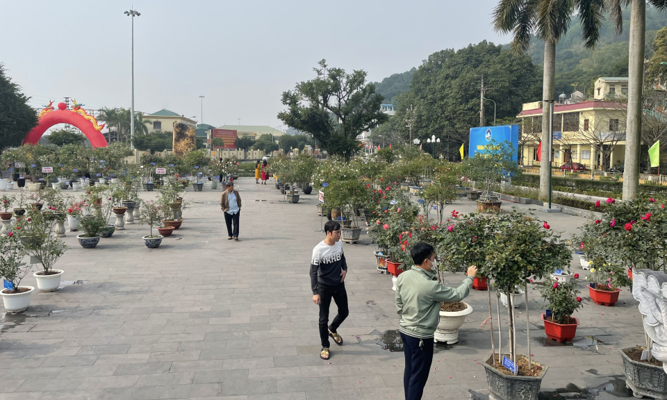 TP Cẩm Phả: Quyết tâm cao nhất để hoàn thành mục tiêu
