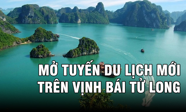 Khảo sát mở tuyến du lịch mới trên vịnh Bái Tử Long