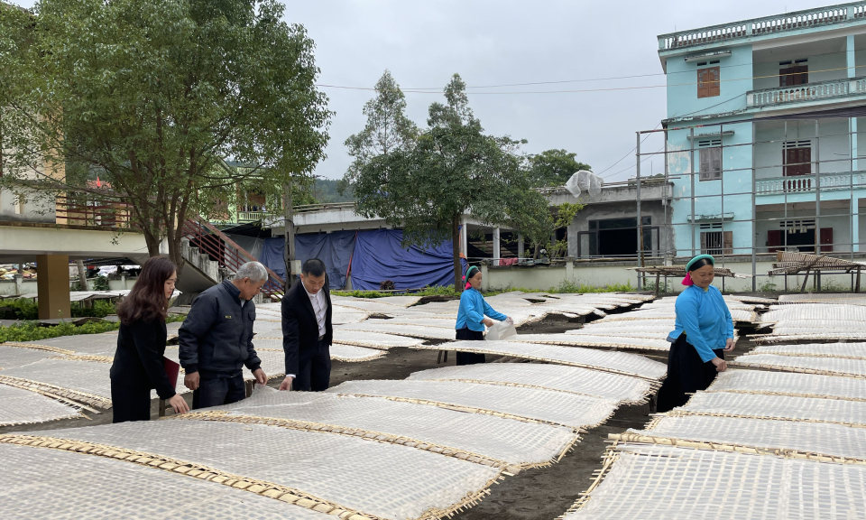 Hiệu quả vốn tín dụng cho tam nông