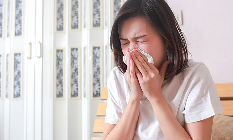 Mức độ nguy hiểm và cách phòng tránh cúm gia cầm H5N1
