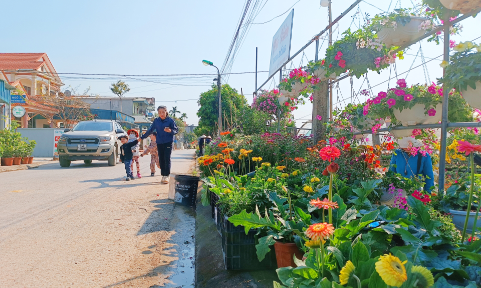 Phát triển du lịch từ trồng hoa 