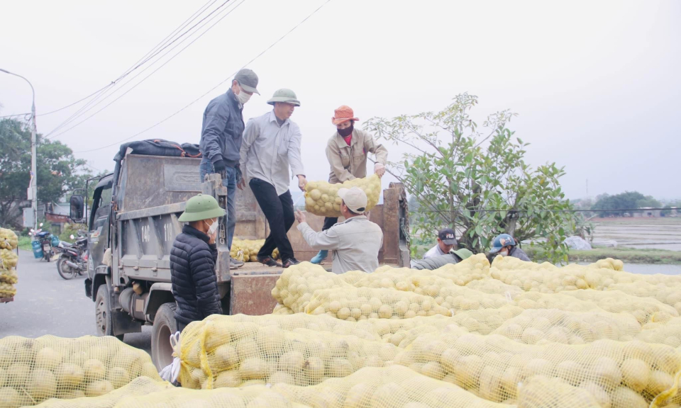Đông Triều: Phấn đấu là điển hình nông thôn mới kiểu mẫu