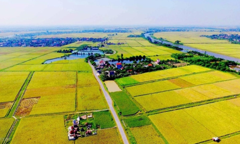 Luật Đất đai sửa đổi: Xóa cảnh bỏ hoang đất nông nghiệp, DN khan đất sản xuất