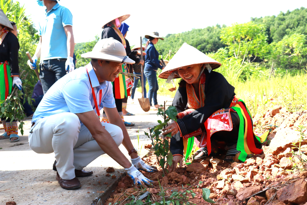 Người dân xã Kỳ Thượng (TP Hạ Long) và các tổ chức chính trị trên địa bàn thành phố chung tay  trồng hoa, cây cảnh các tuyến đường NTM.