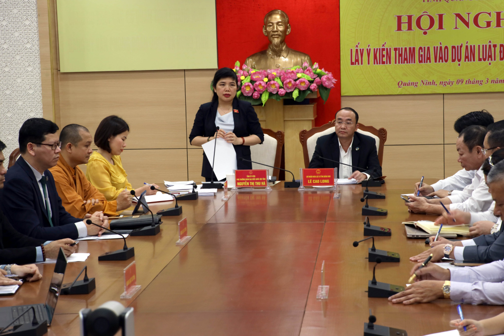 Phó Trưởng đoàn Đoàn Đại biểu Quốc hội tỉnh Nguyễn Thị Thu Hà phát biểu khai mạc Hội nghị.