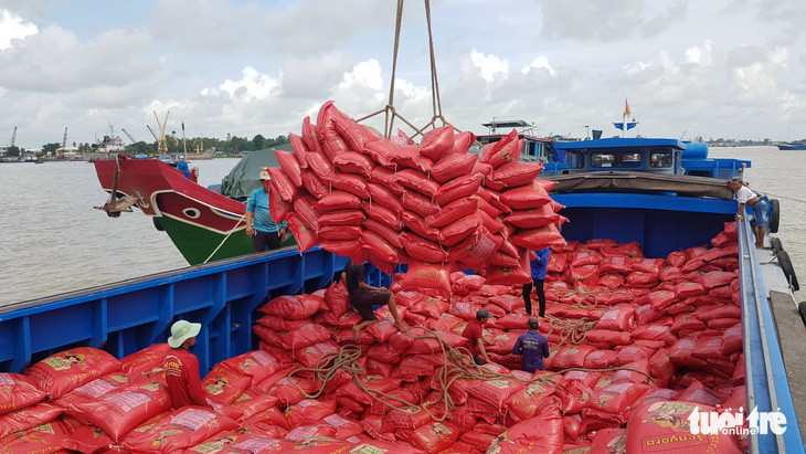 Asia rice-India rates fall on fewer buyers, Vietnam at peak harvest