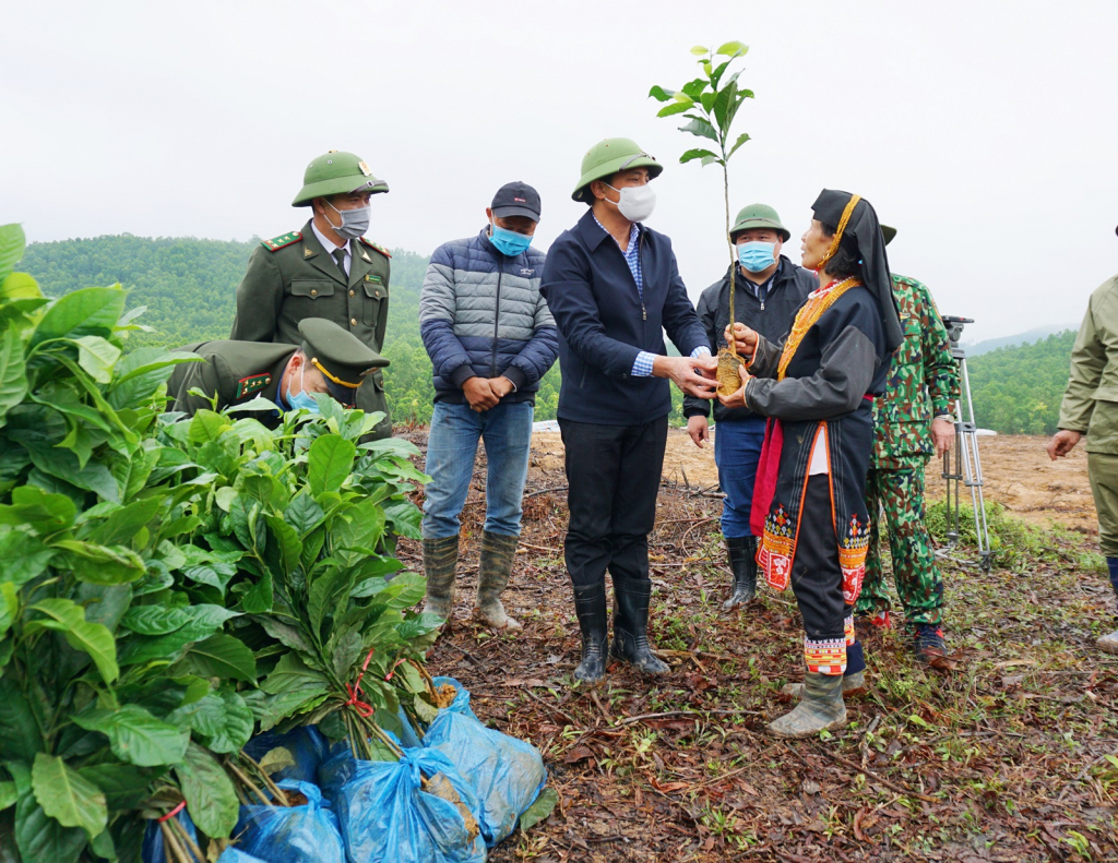 Lãnh đạo TP Hạ Long trao cây giống trồng rừng gỗ lớn cho người dân thôn Đèo Đọc, xã Đồng Lâm. Ảnh: Thanh Tùng