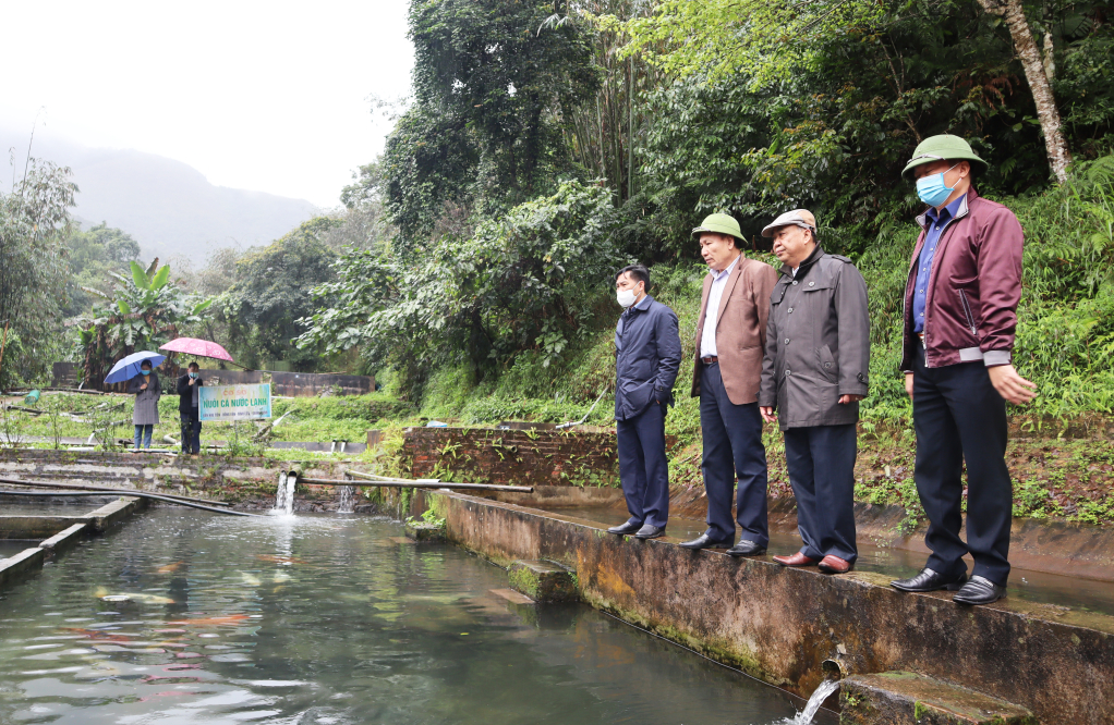 Lãnh đạo Sở NN&PTNT kiểm tra công tác phòng chống rét tại mô hình nuôi cá nước lạnh xã Đồng Văn, huyện Bình Liêu.