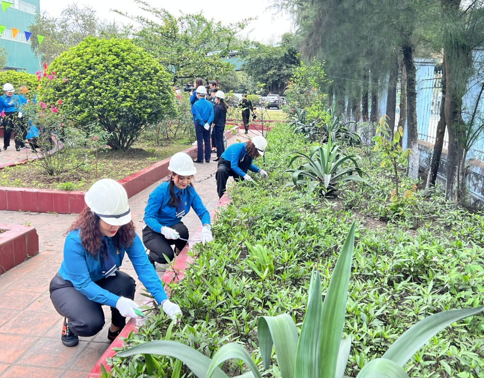 Người lao động tích cực tham gia nhổ cỏ, trồng cây trong khuôn viên nhà máy.