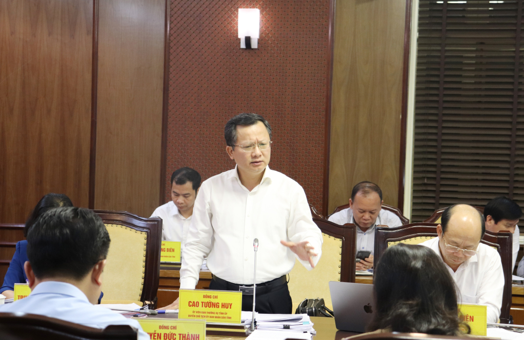 Đồng chí Cao Tường Huy, Quyền Chủ tịch UBND tỉnh, phát biểu tại hội nghị.