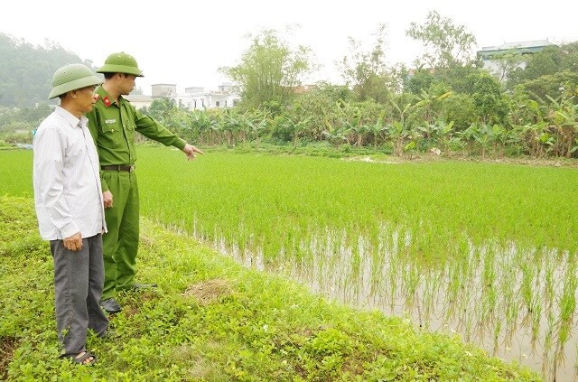 giăng lưới bẫy chuột, vô tình làm hàng xóm bị điện giật tử vong