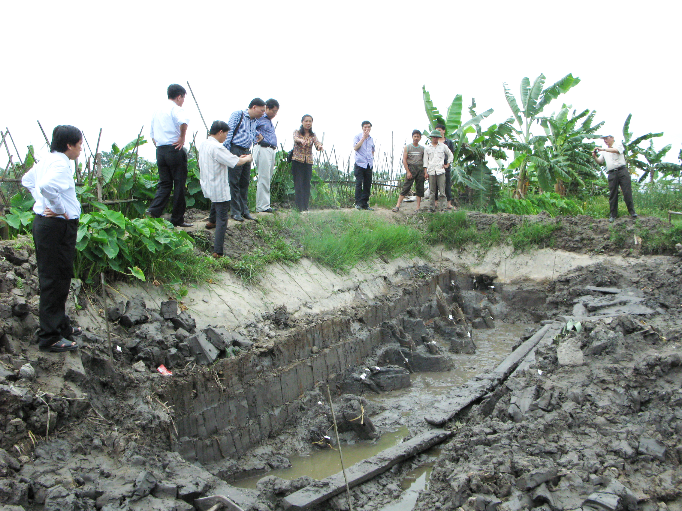 Các nhà khoa học tham quan hố khai quật di tích bãi cọc đồng Má Ngựa (phường Nam Hoà, thị xã Quảng Yên) năm 2010.
