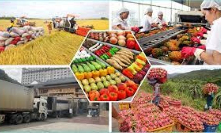 Chủ động nắm bắt những biến động thị trường, tạo cơ hội từ thách thức