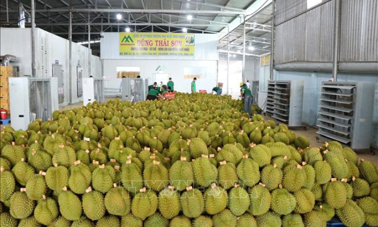 Xây dựng thương hiệu nông sản Việt tại Trung Quốc