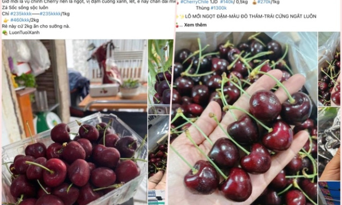 Chuyên gia thực phẩm nói về loại cherry giá rẻ giật mình