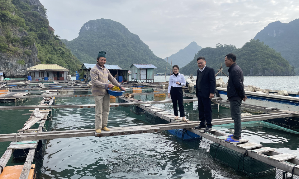 Tháo gỡ rào cản trong việc giao, cho thuê mặt nước