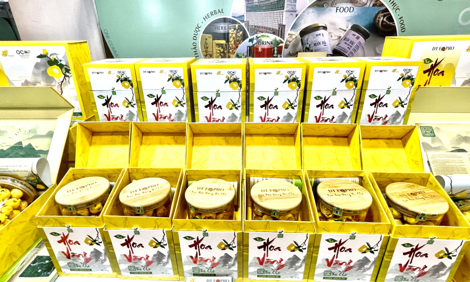 Hiện đại hoá trong sản xuất, kinh doanh