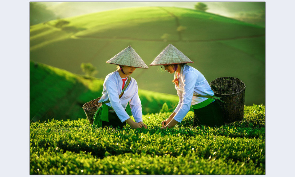 Chiêm ngưỡng sắc màu quê hương qua ống kính nhiếp ảnh nữ