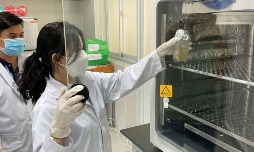 Sinh viên dùng CO2 hãm phát triển nấm mốc trên lúa