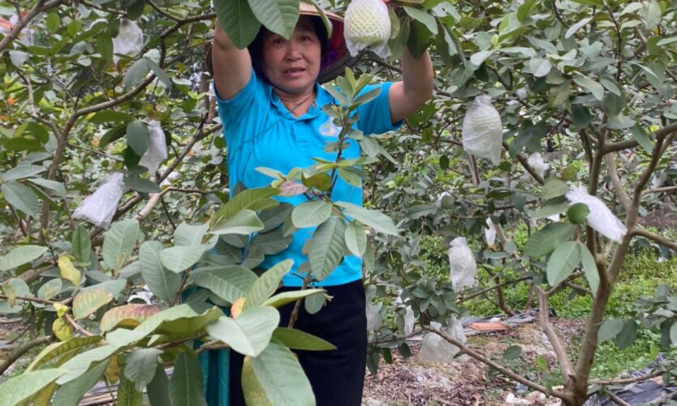 Nữ cán bộ tận tâm với công tác hội