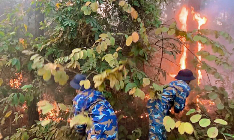 Lữ đoàn 147: Tham gia chữa cháy rừng tại phường Đại Yên, TP Hạ Long