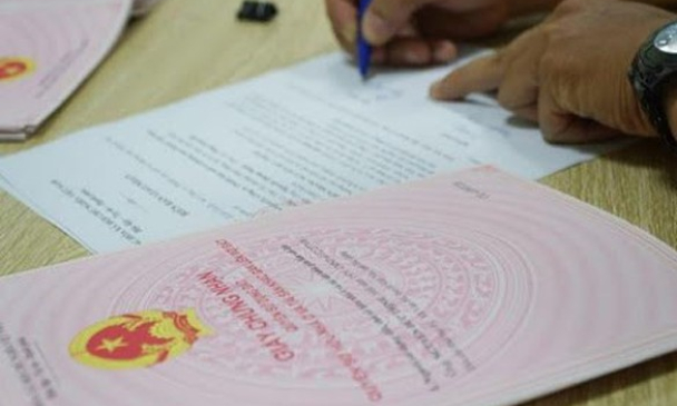 Không có quy định hạn chế độ tuổi người đứng tên sổ đỏ
