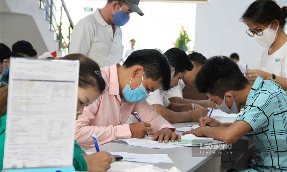 Lý do người lao động không được hưởng trợ cấp thất nghiệp