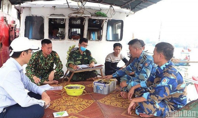 Tập trung các giải pháp giúp ngành thủy sản sớm gỡ “thẻ vàng” của EC