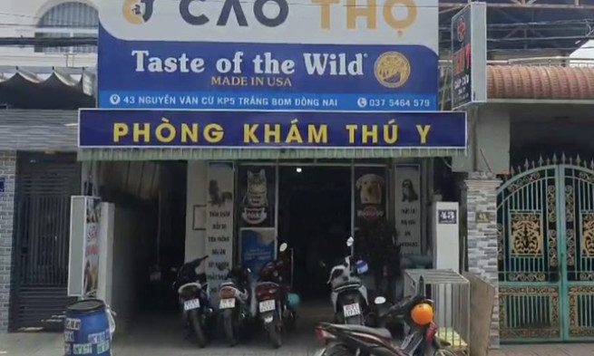 Nhân viên thú y bị chó có biểu hiện bệnh dại cắn