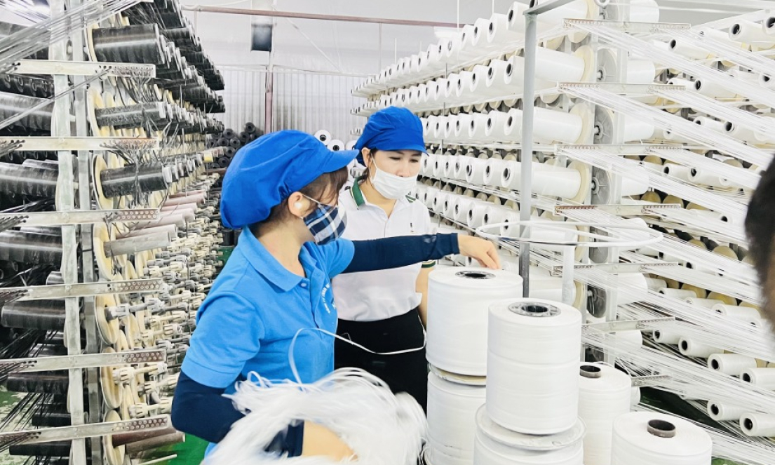 Hướng về phía mặt trời 