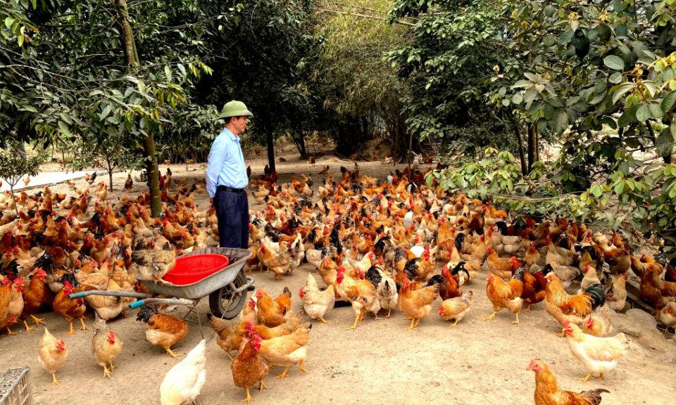 Động lực cho phát triển của Đông Ngũ