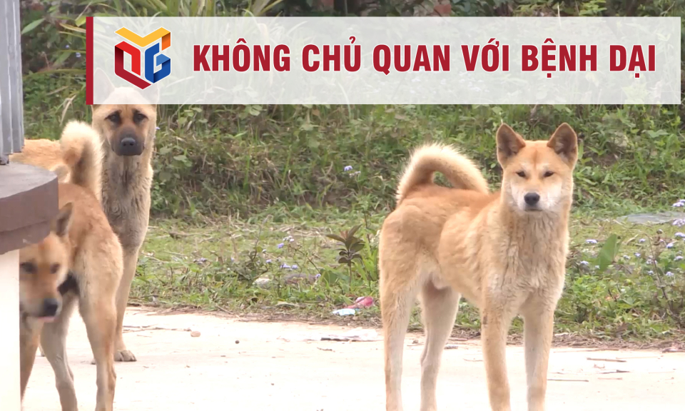 Không chủ quan với bệnh dại