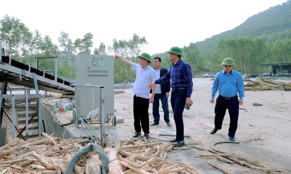 Đông Triều: Yêu cầu di dời cơ sở chế biến dăm gỗ trái phép tại xã Hồng Thái Đông trước 16h30 ngày 17/3/2023