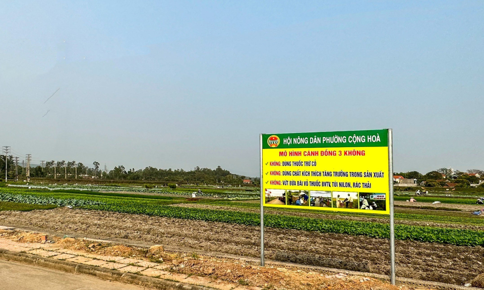 Sản xuất bền vững, tiêu dùng thông minh