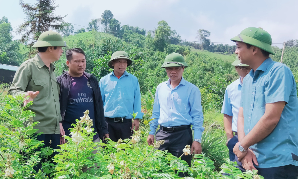 Xây dựng nông thôn mới: Cách làm của Ba Chẽ
