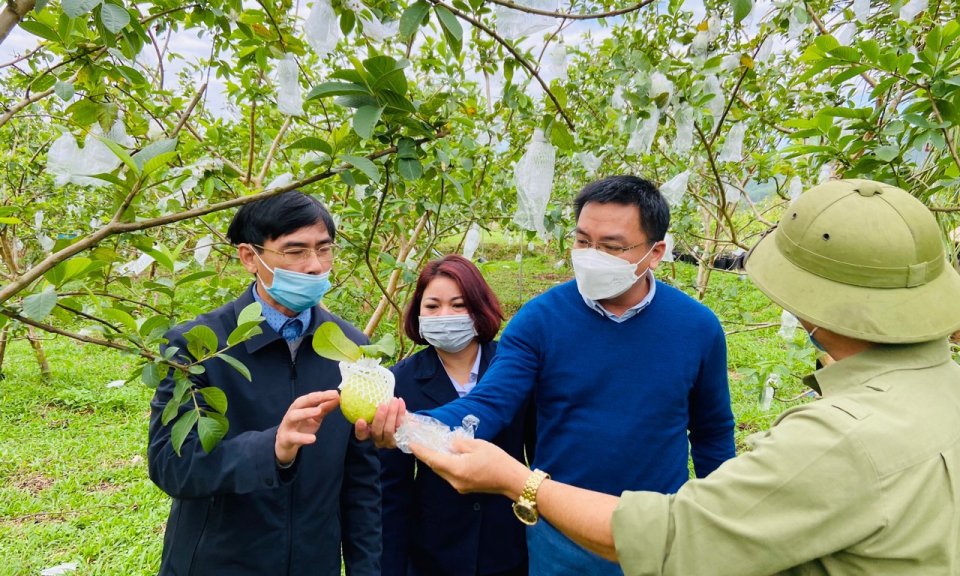 Tạo thuận lợi xuất khẩu nông sản 
