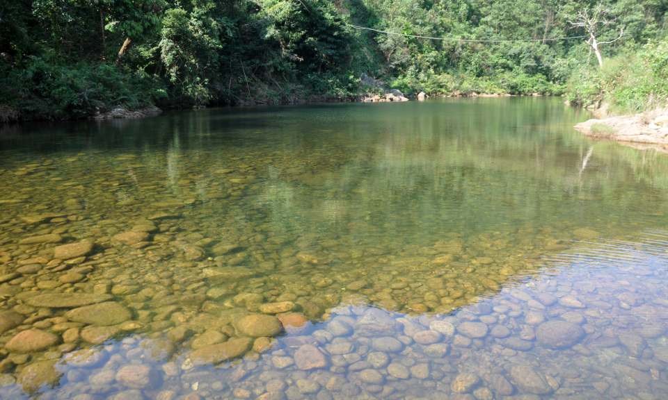 A look inside Dong Son Nature Reserve 