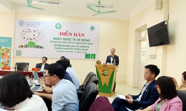 Việt Nam carries out measures for healthy forests