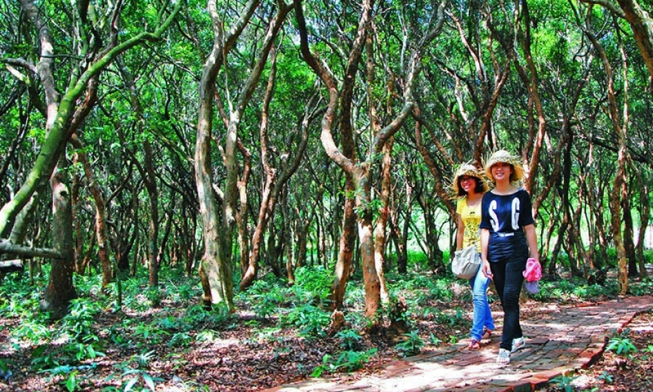 "Hạt nhân" làm giàu vùng vịnh Bái Tử Long