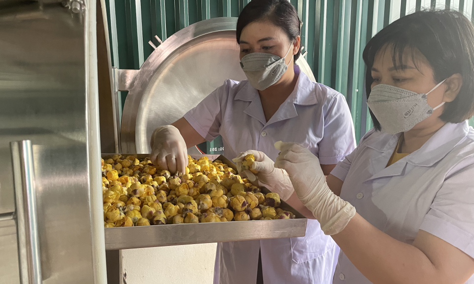 Khẳng định vai trò của nữ doanh nhân
