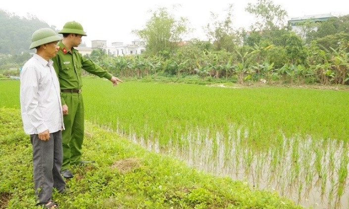 Giăng lưới bẫy chuột, vô tình làm hàng xóm bị điện giật tử vong