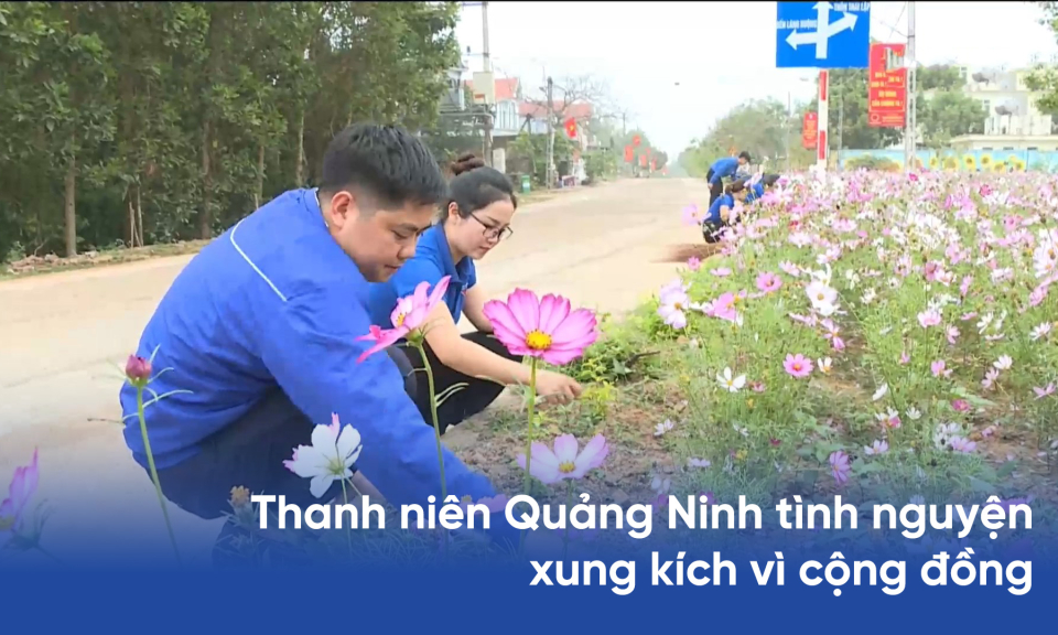 Thanh niên Quảng Ninh tình nguyện xung kích vì cộng đồng