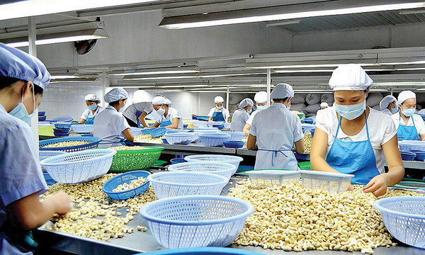 Doanh nghiệp nỗ lực khai thác thị trường mới
