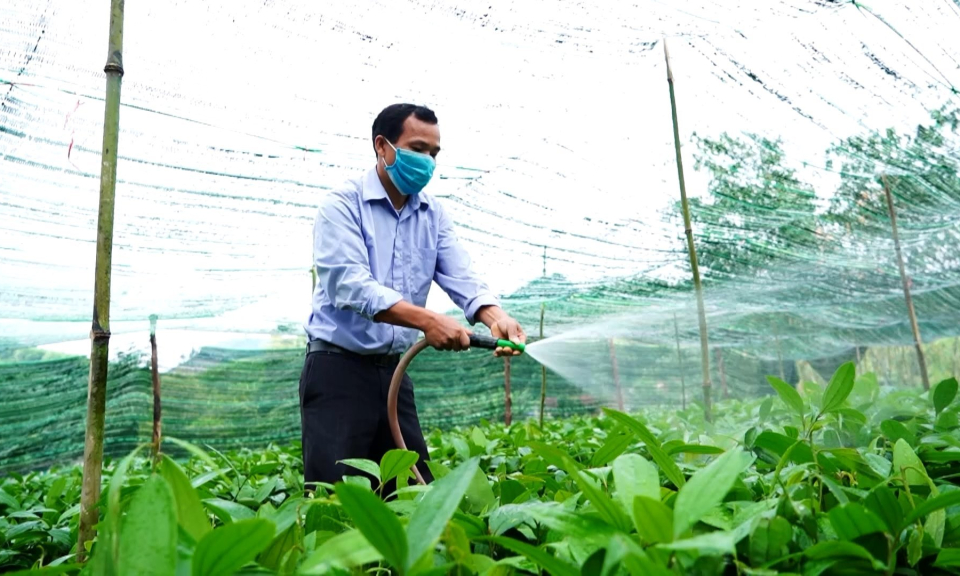 Người tiên phong ở thôn Tàu Tiên