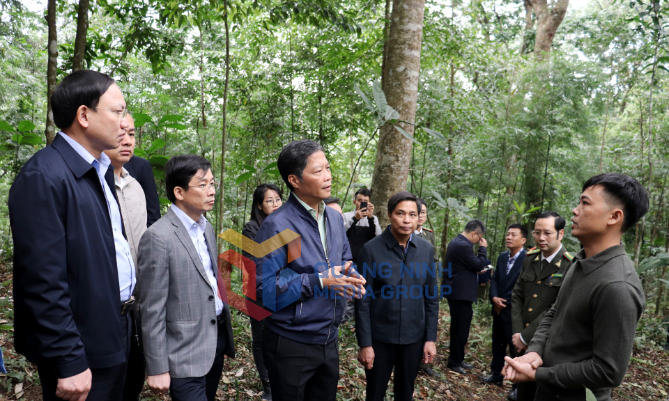 Ủy viên Bộ Chính trị, Trưởng Ban Kinh tế Trung ương Trần Tuấn Anh làm việc với tỉnh Quảng Ninh, tháng 3-2023