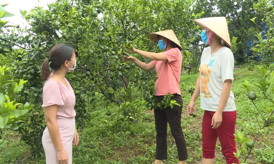 Vân Đồn: Giảm nghèo bền vững, thực chất