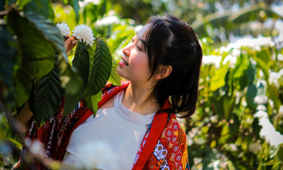 Mê mẩn mùa hoa cà phê nở trắng trời, thơm nức ở Tây Nguyên