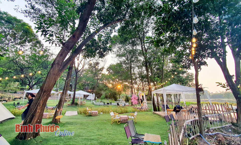 Khởi nghiệp từ “view” hồ