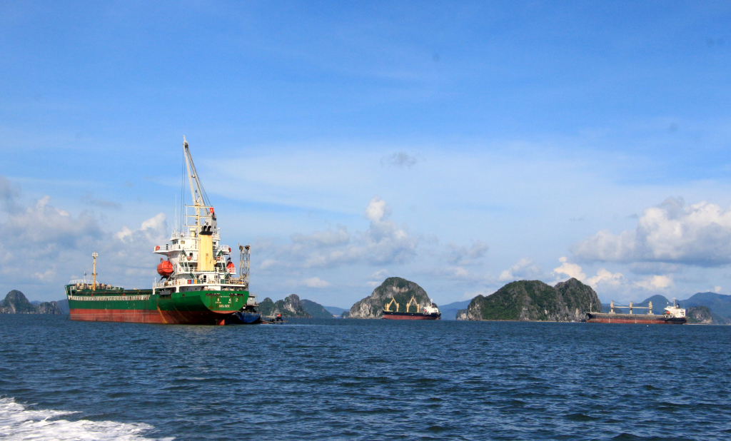 Các tàu làm hàng tại cảng Con Ong - Hòn Nét (TP Cẩm Phả). Ảnh: Mạnh Trường