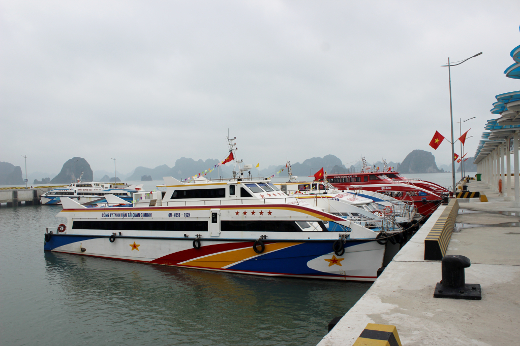 Các phương tiện vận tải khách neo đậu tại Bến cảng cao cấp Ao Tiên. Ảnh: Mạnh Trường